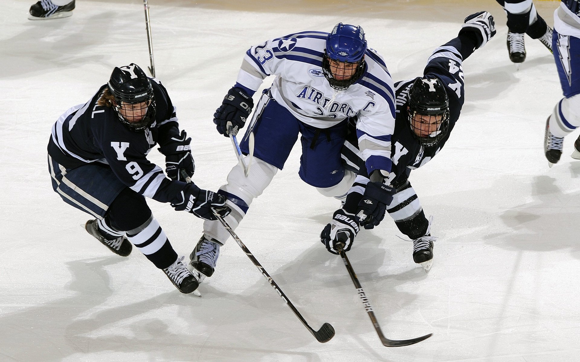 杭州瑜伽论坛成功举办,探讨行业未来,杭州瑜伽培训学院